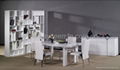 Dining Table,Chair,Room Divider 1