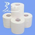 toilet tissue roll 1