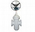 Through Condiut Slab Gate Valve (Electric Operation)