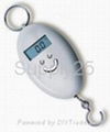 A-S501 Portable Scale