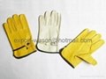 Drivers' Gloves 1