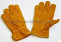 Drivers Gloves