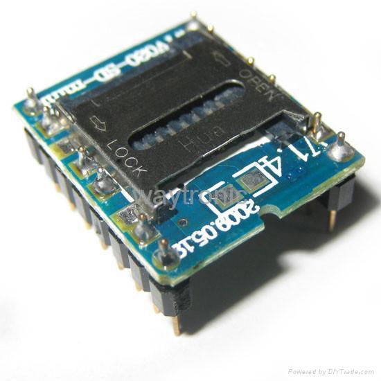WTV020-SD micro card voice module