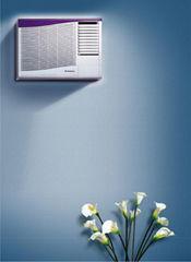 Window air conditioner