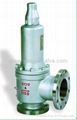 Warm jacket safety valve 4