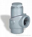 Warm jacket safety valve 5