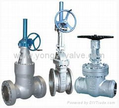 Cast Steel Gate Valve