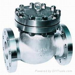 Cast Steel Check Valve 3