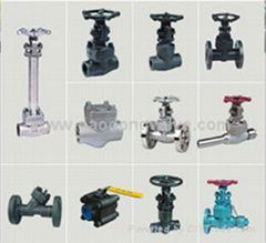 Forged Steel Ball/ Gate/Globe/Check Valves