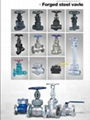 Gate/Globe/Check/Ball Valves