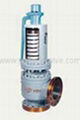 Safety Relief Valve 1