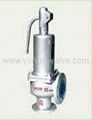 Safety Relief Valve 2