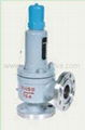 Safety Relief Valve 3