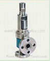 Safety Relief Valve 4