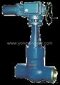 Pressure Sealing Valves 4