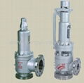 Safety Valves