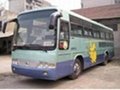 used bus--YUTONG11-13M 1