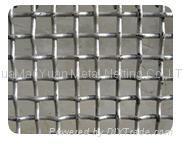 square wire mesh