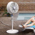 mist fan 1