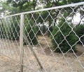 chain link fence 2