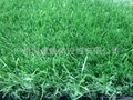 artificial grass 1