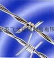 barbed iron wire mesh