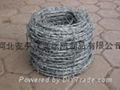 barbed iron wire mesh 3