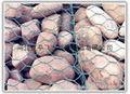 stone cage wire mesh