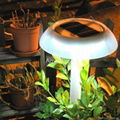 Solar Lamp 1