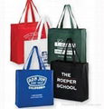 non woven bag 1