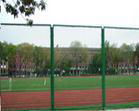  fence netting 2