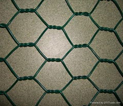 hexagonal wire netting