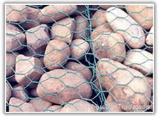 hexagonal wire netting 2