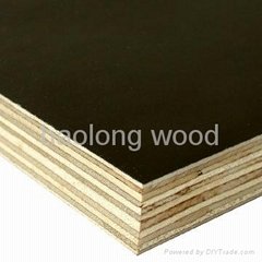 Linyi Jindu wood industry co.,ltd.