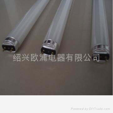 T8/T10/T12 Fluorescent Tubes