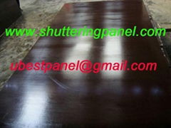 formwork plywood