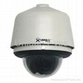 Network IP camera 1