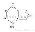 Tiopronin,Trifluorothymidine