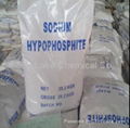 Sodium Hypophosphite Monohydrate 2