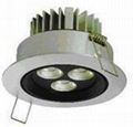 LED Down Light