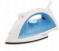 steam iron