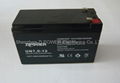 lead acid battery