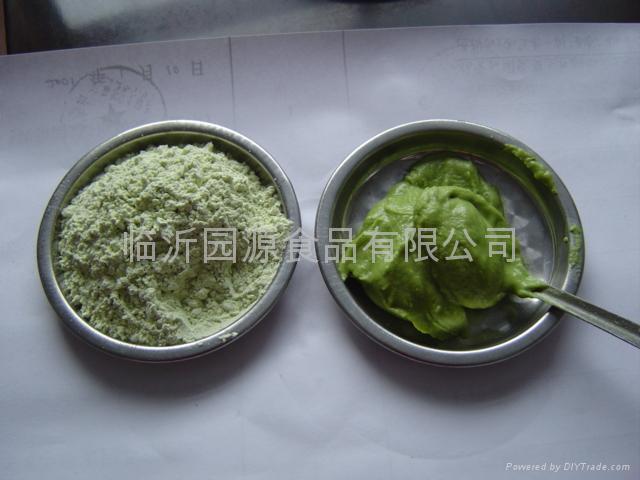 芥辣粉（wasabi powder）