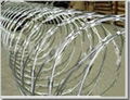 Razor Wire