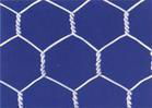 Hexagonal wire mesh