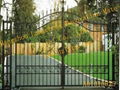 wrought iron gate 2