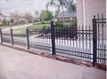 iron fence 3