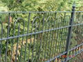 iron fence 5