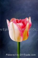 flower printed oil painting 5