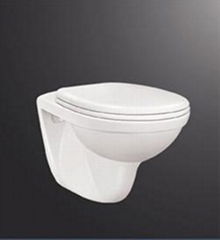 Wall hung toilet